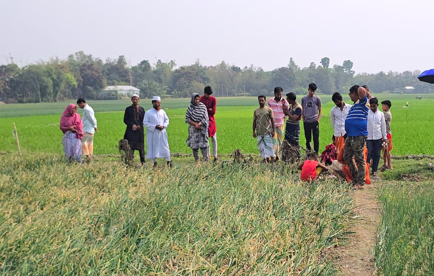 কৃষক হেলালের ক্ষতিগ্রস্ত জমি পরিদর্শন করেন কৃষি কর্মকর্তারা।