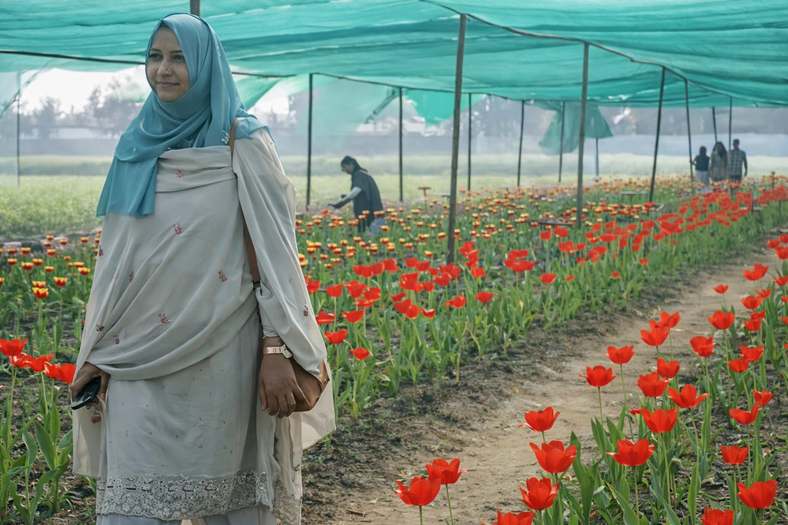 পঞ্চগড়ে টিউলিপে পর্যটনের নতুন দিগন্ত।