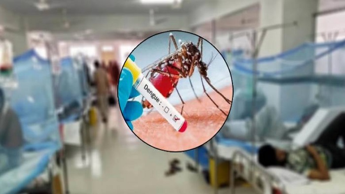 ডেঙ্গুতে আরো ৩ জনের মৃত্যু