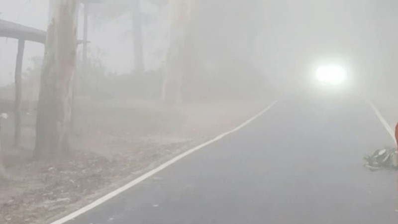 দিনাজপুরে বৃষ্টির মতো ঝরছে শিশির