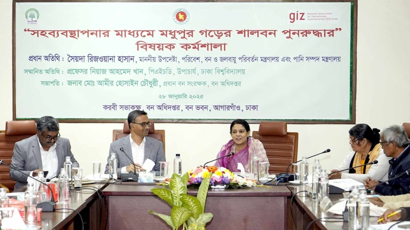 বনভূমি রক্ষায় সবাইকে এগিয়ে আসতে হবে-রিজওয়ানা