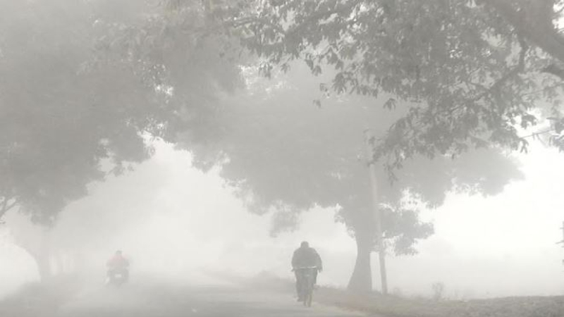 পঞ্চগড়ে কমেনি শীতের প্রকোপ