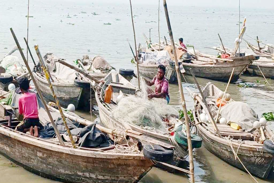 মধ্যরাত থেকে পদ্মা-মেঘনায় অভয়াশ্রমে মাছ ধরা বন্ধ