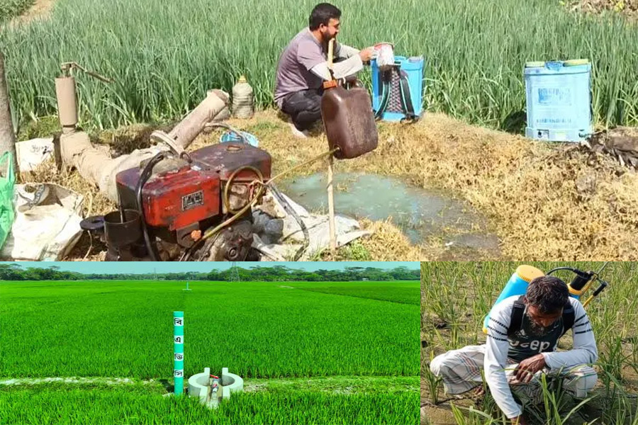 ডিজেল সংকটে কক্সবাজারে বোরো চাষ হুমকিতে, বন্ধ সেচপাম্প