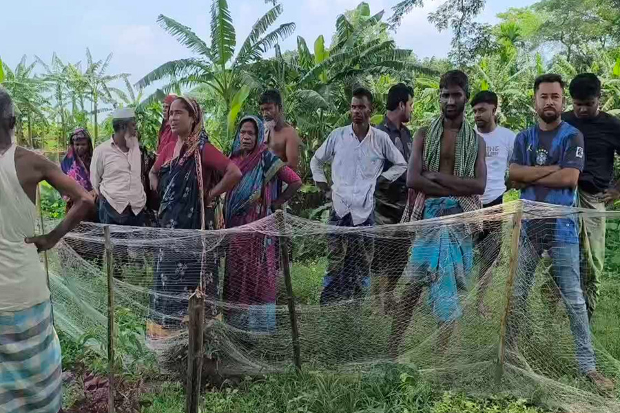 শরীয়তপুরে ককটেল বিস্ফোরণে শিশুর কবজি বিচ্ছিন্ন