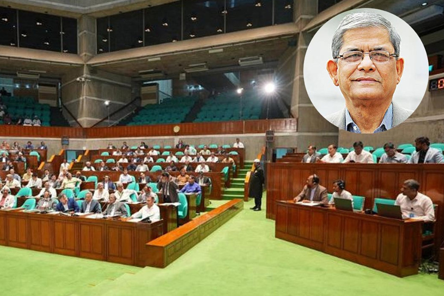 ঢাকার দুই সিটিতে ডেঙ্গু নিয়ন্ত্রণে বিভিন্ন কর্মপরিকল্পনা নিয়েছে সরকার