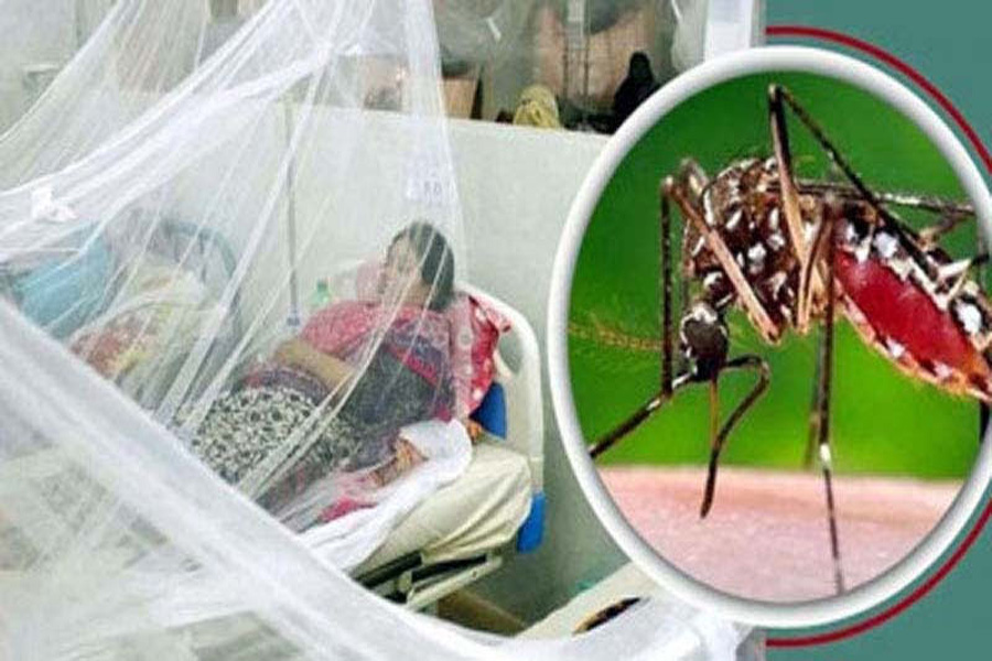 ডেঙ্গুতে ২৪ ঘণ্টায় মৃত্যু ৩, হাসপাতালে ভর্তি ৫৫৬