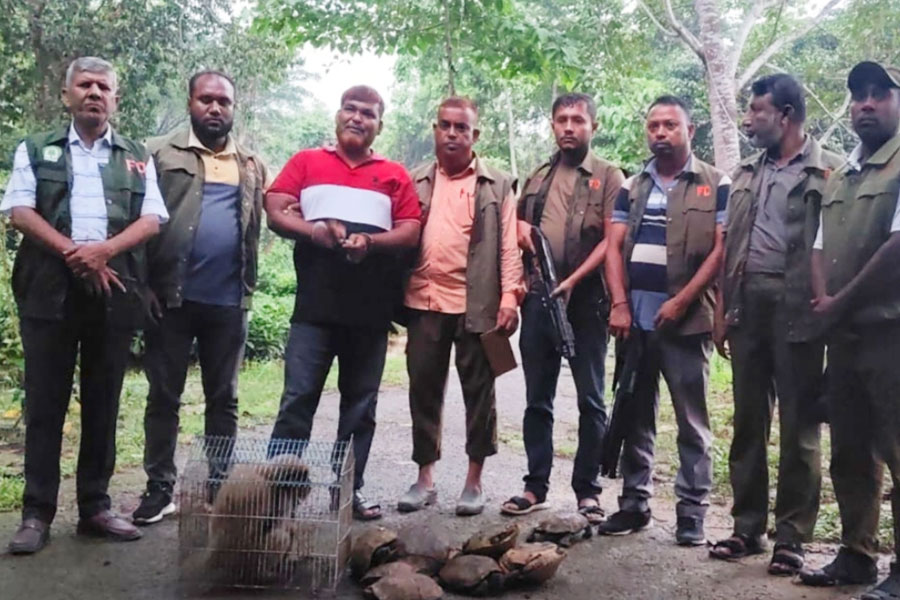 কক্সবাজারে পাচারচক্রের সদস্য আটক