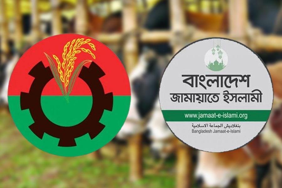 গরুর হাটের ইজারা নিয়ে বিএনপি-জামায়াত লড়াই