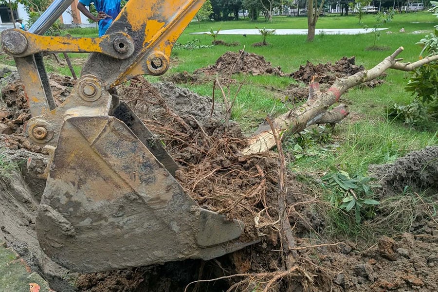 ছবি: ভিওডি বাংলা