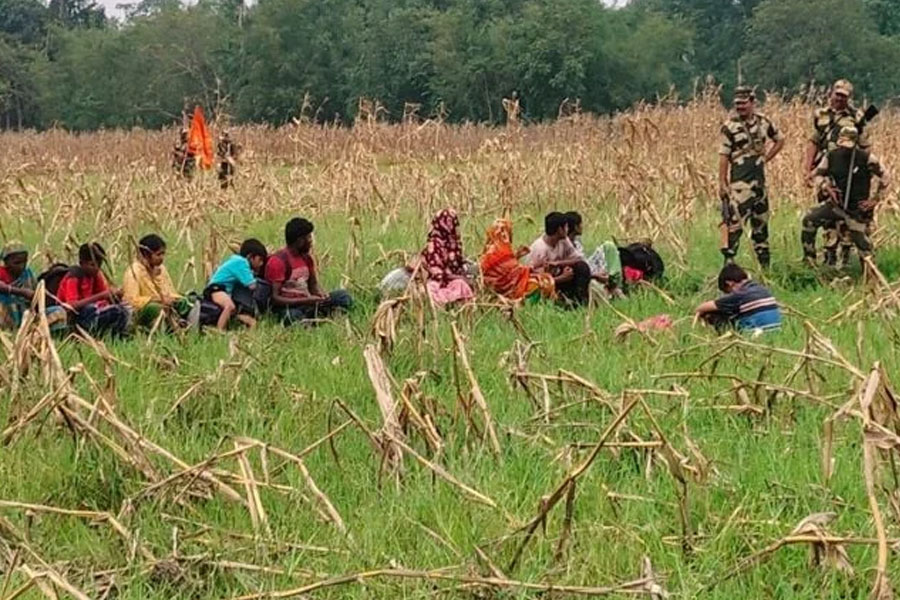 ৩২০ জনের পুশইন চেষ্টা রুখে দিল বিজিবি-এলাকাবাসী