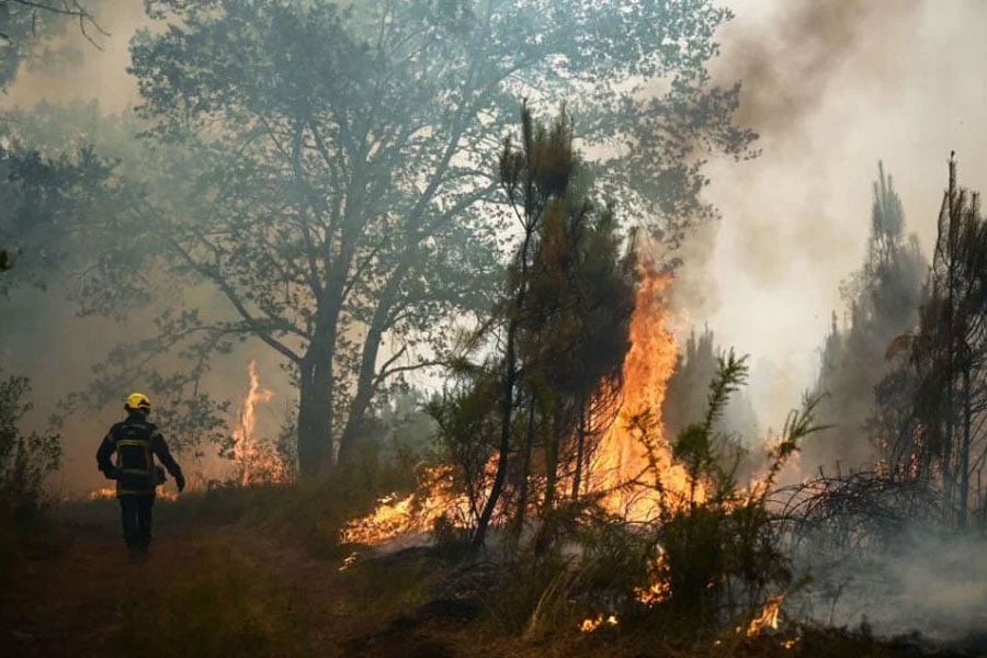 ভয়াবহ দাবানলে বিপর্যস্ত ফ্রান্স, সরানো হলো ১০ হাজার মানুষ