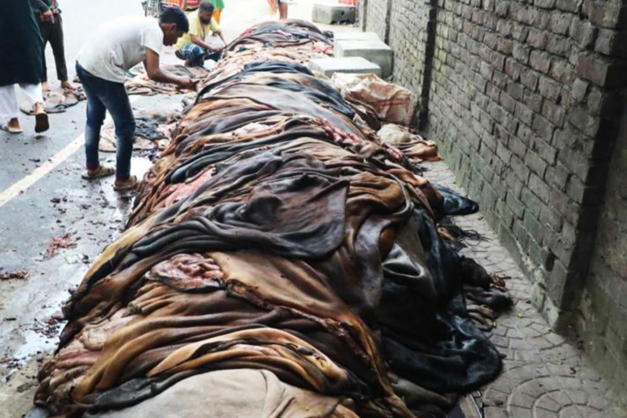 পোস্তায় কাঁচা চামড়ার দাম ও সংরক্ষণ নিয়ে শঙ্কা
