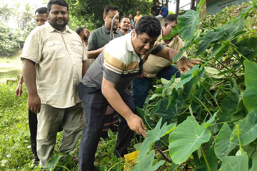 ছবি: সংগৃহীত