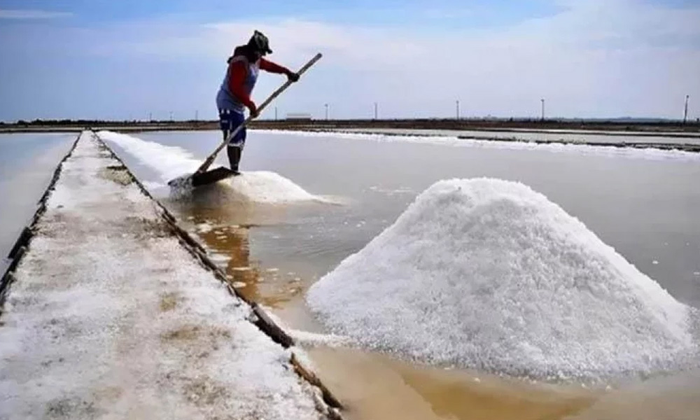 কারণ ছাড়াই লবণের বস্তায় বেড়েছে ৩৭০ টাকা