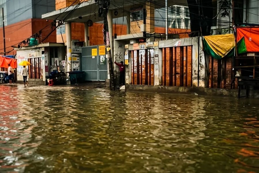ফাইল ছবি