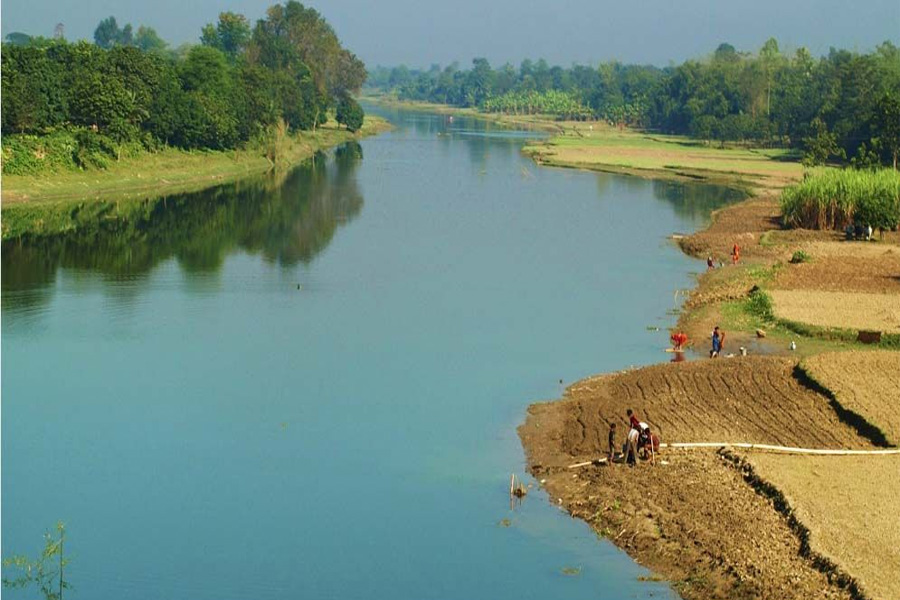 বাংলাদেশ সীমান্তের নদীতে কুমির-সাপ ছাড়ার প্রস্তাব, দ্বিধায় বিএসএফ