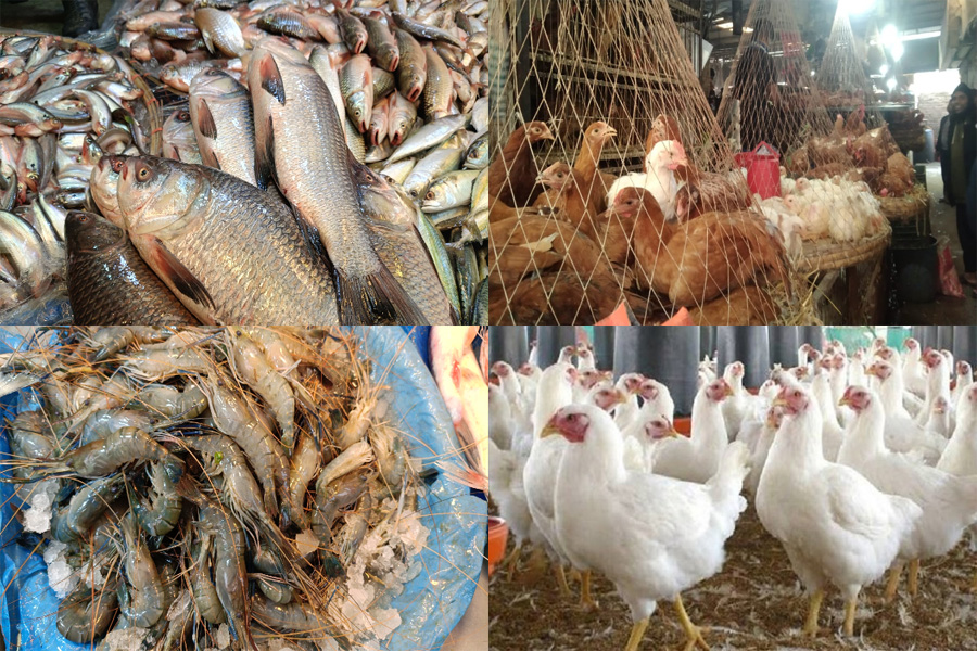 নিত্যপণ্যের উচ্চমূল্যে অস্বস্তিতে মানুষ