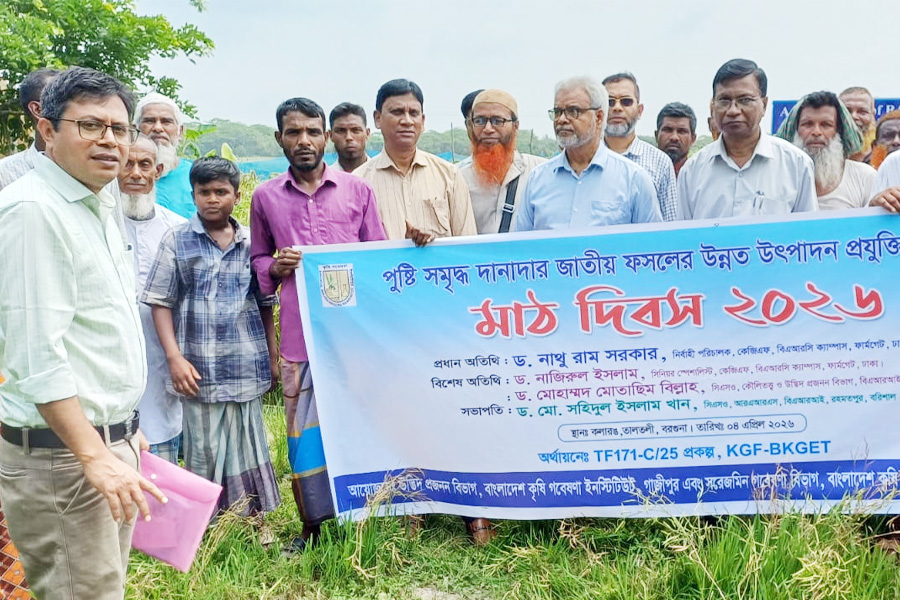 তালতলীতে পুষ্টি সমৃদ্ধ দানাদার ফসল নিয়ে মাঠ দিবস