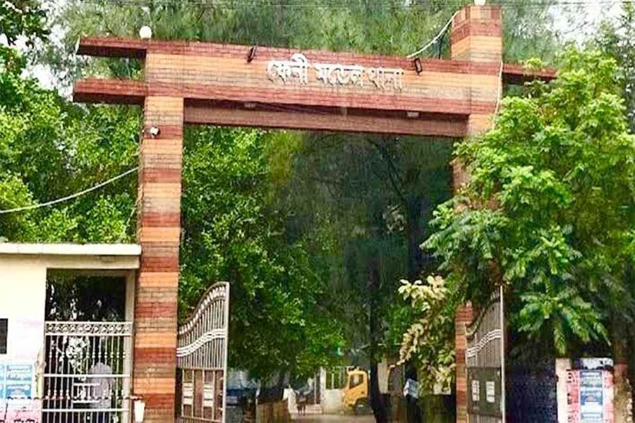 অস্ত্রের মুখে জিম্মি করে  ব্যবসায়ীর গরু ছিনতাই