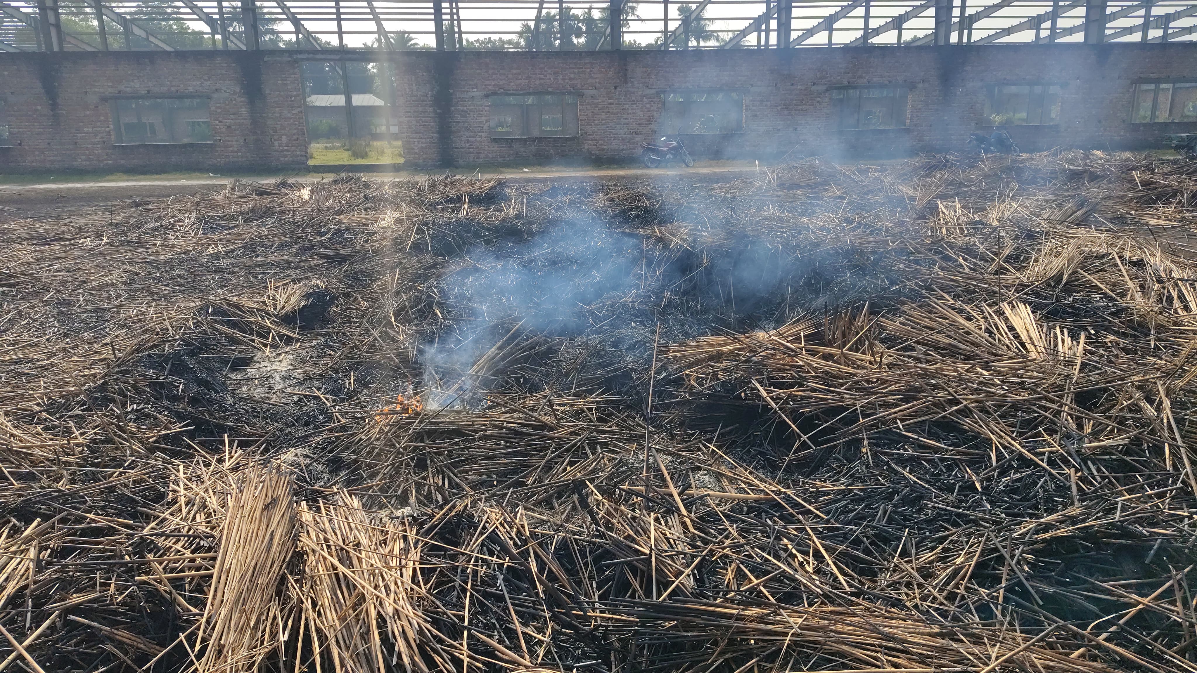 পাংশা পাটখড়ির পালানে অগ্নিসংযোগ, নিঃস্ব ব্যবসায়ী