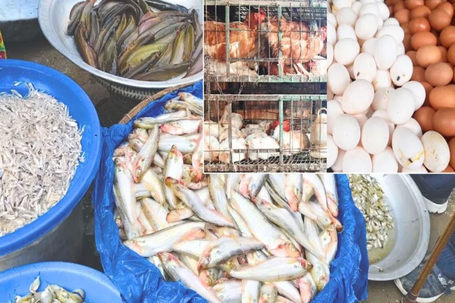 রাজধানীতে মাছের দর চড়া, মুরগি ও ডিমে স্বস্তি