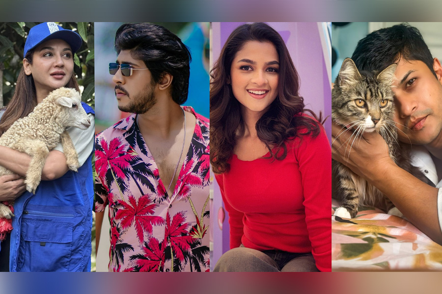 কুকুরছানা হত্যা: ক্ষুব্ধ শোবিজ তারকারা