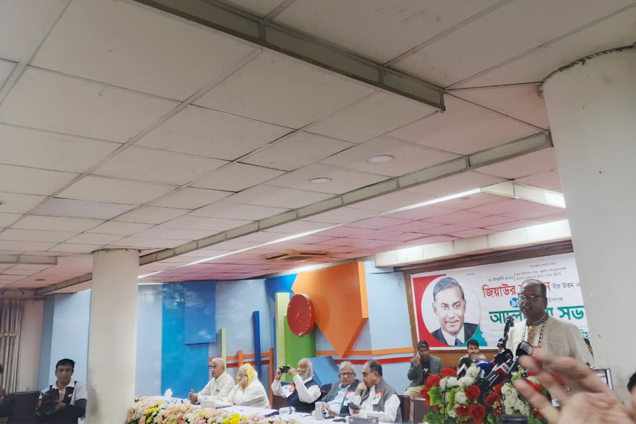 শহীদ জিয়াউর রহমানের আদর্শেই বিএনপি এগিয়ে যাবে : দুদু