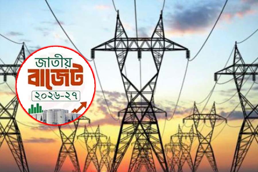 বিদ্যুৎ বিভাগে ১৪,৯৯৬ কোটি টাকা বরাদ্দের প্রস্তাব