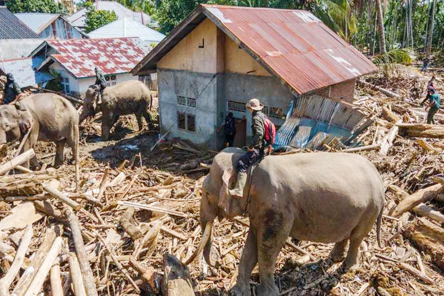 ইন্দোনেশিয়ার বন্যায় ধ্বংসস্তূপ সরাতে নামল হাতি
