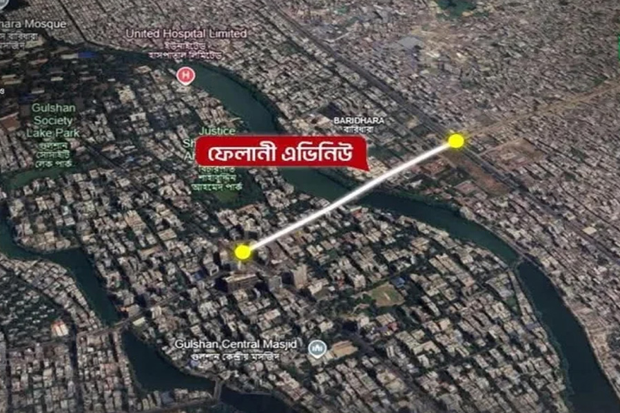 রাজধানীতে সড়কের নামকরণ ‘ফেলানী এভিনিউ’