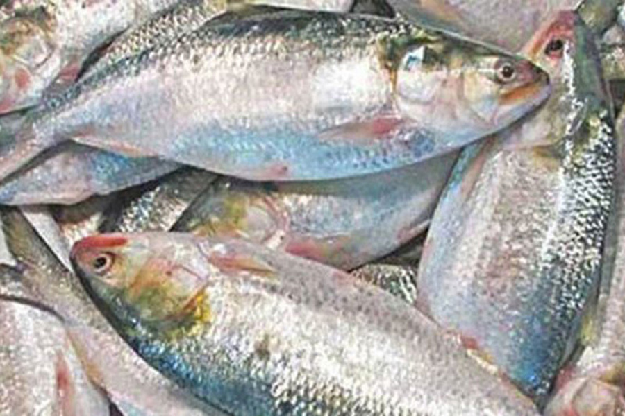 সপ্তাহের ব্যবধানে কেজিতে বেড়েছে ৪শ’ টাকা