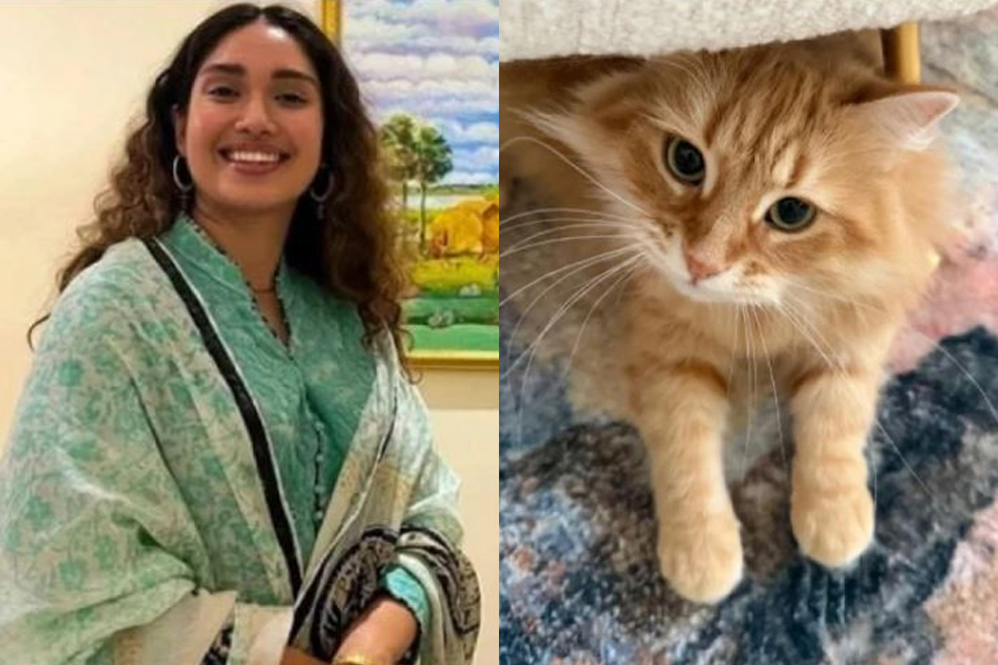 জেবুকে ঘিরে এত কৌতুহল দেখে আমি কিছুটা অবাক