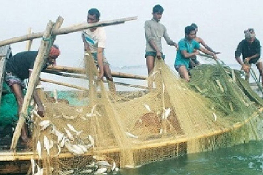 আজ থেকে শুরু জাটকা শিকারের ৮ মাসের নিষেধাজ্ঞা