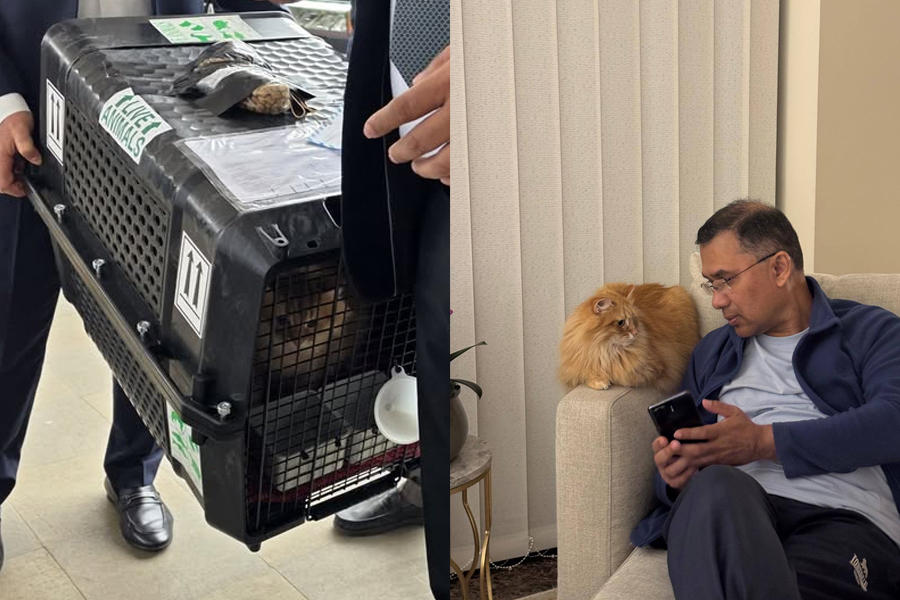 তারেক রহমানের সঙ্গে ফিরল ‘জেবু’