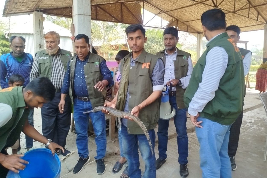 খোকসার ইউটিউব ভিলেজ থেকে মহাবিপন্ন ‘ঘড়িয়াল’ উদ্ধার