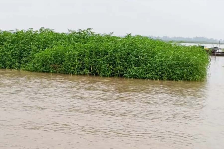 কুড়িগ্রামে বাড়ছে নদ-নদীর পানি, নিম্নাঞ্চলে বন্যার আশঙ্কা
