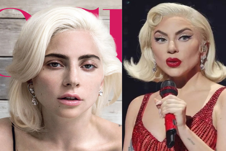 জীবনের সবচেয়ে ভয়ঙ্কর লড়াইয়ের কথা জানালেন লেডি গাগা