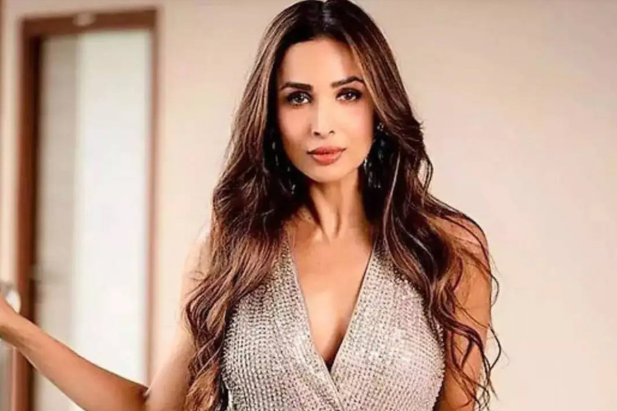 সমালোচনার জবাবে মালাইকা: ‘নাচ আমাকে শান্তি দেয়’