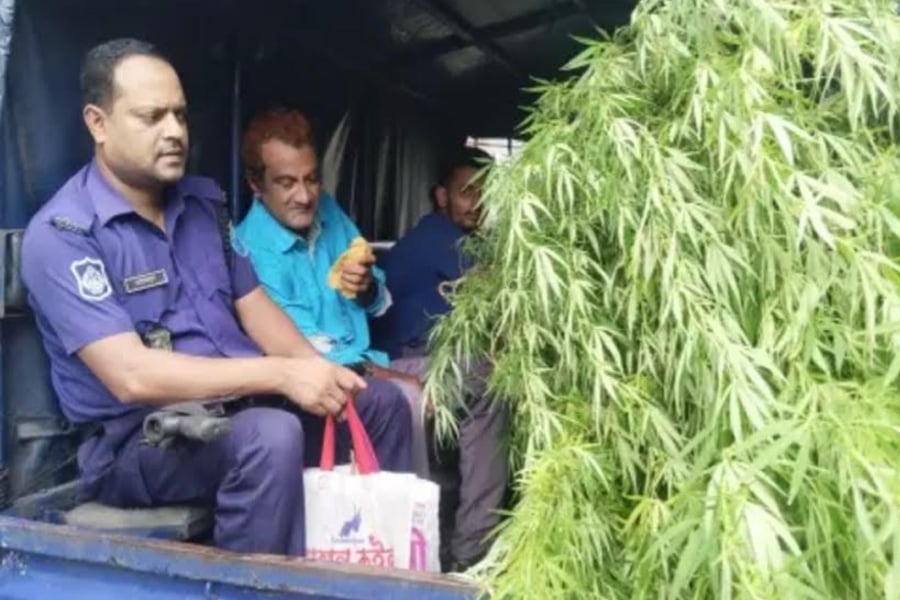 ছবি: ভিওডি বাংলা
