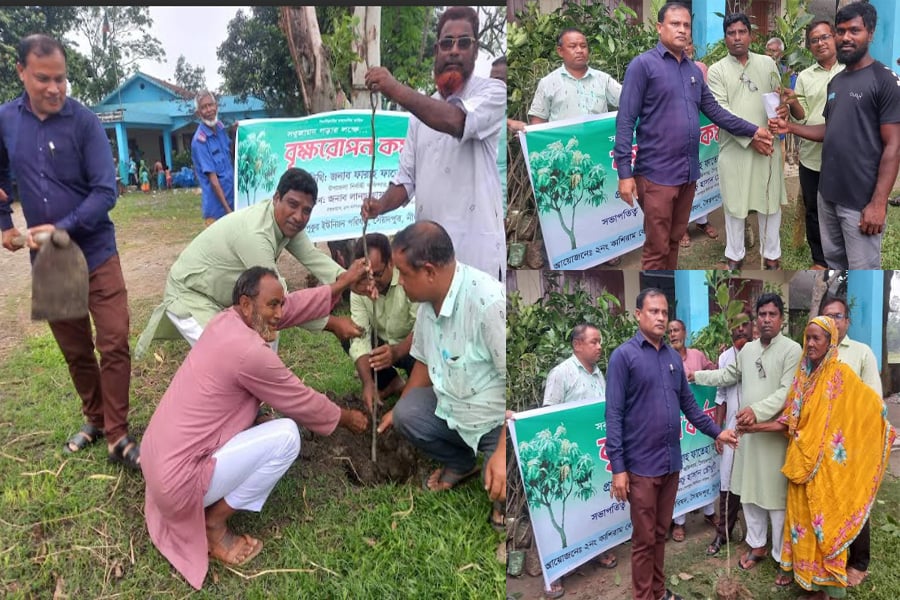 সৈয়দপুরে বৃক্ষরোপণ ও বিতরণ কর্মসূচীর উদ্বোধন