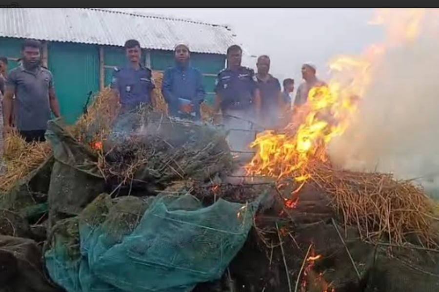 নীলফামারীতে অবৈধ জাল জব্দ, জনসম্মুখে পুড়িয়ে ধ্বংস