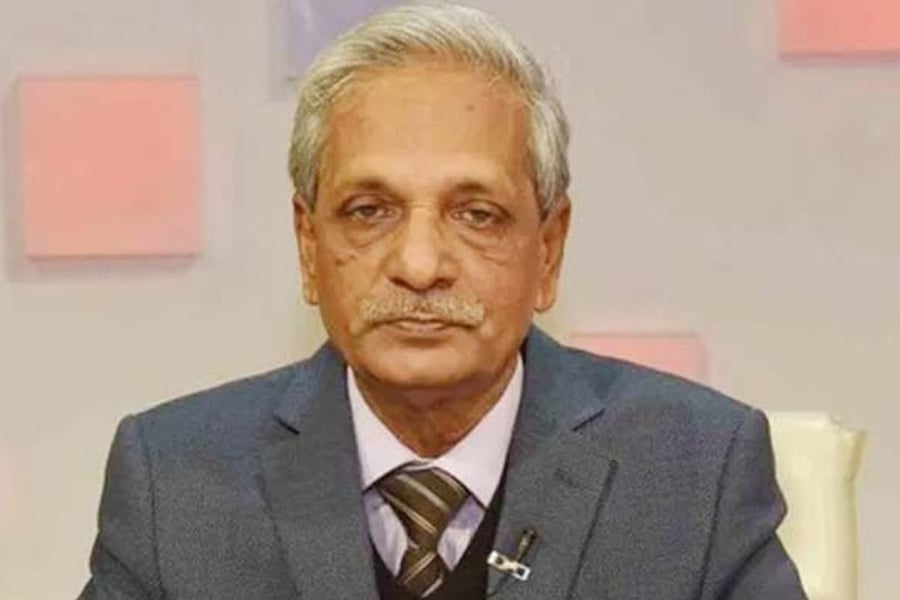 সংস্কৃতি বিষয়ক মন্ত্রী নিতাই রায় চৌধুরী। ছবি: ভিওডি বাংলা