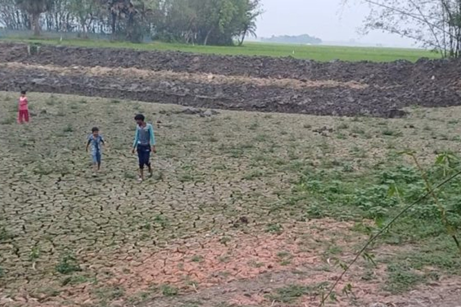 নাবিলের মুরগির বিষ্ঠার দুর্গন্ধে অতিষ্ঠ এলাকাবাসি