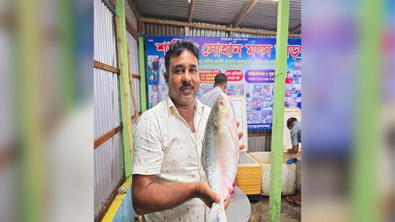 পদ্মায় ধরা পড়ল আড়াই কেজির ইলিশ