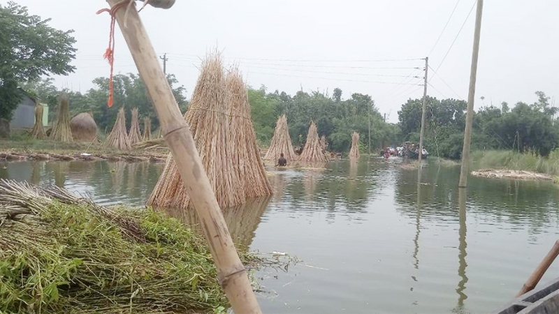 পদ্মার পানি বিপৎসীমা ছুঁইছুঁই, নিম্নাঞ্চল প্লাবিত