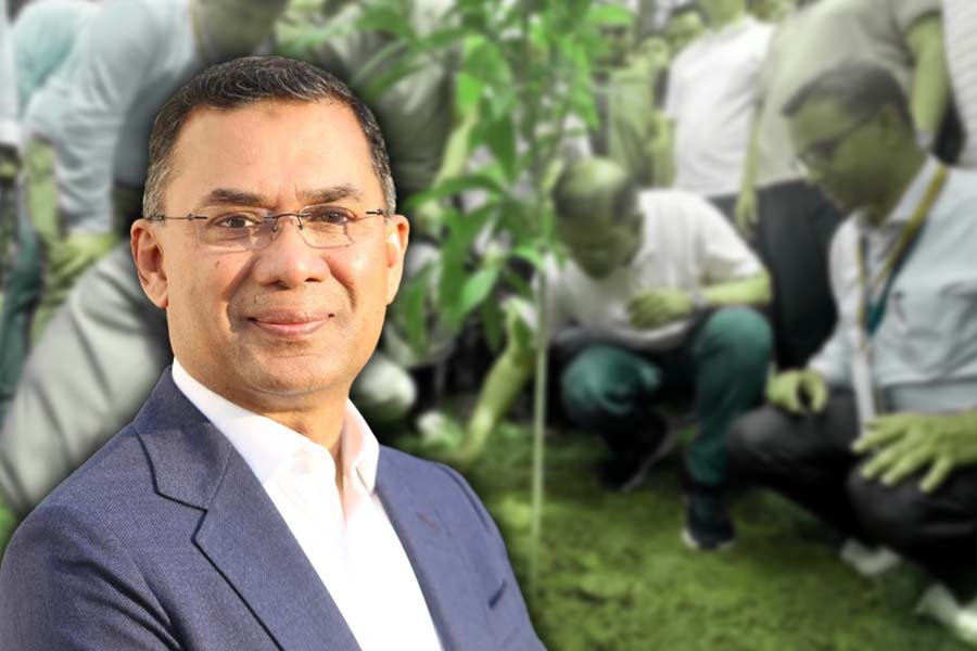 বৃক্ষরোপণ কর্মসূচির উদ্বোধন করবেন প্রধানমন্ত্রী