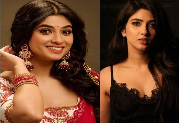 জনপ্রিয় অভিনেত্রীর ব্যক্তিগত ভিডিও ফাঁস
