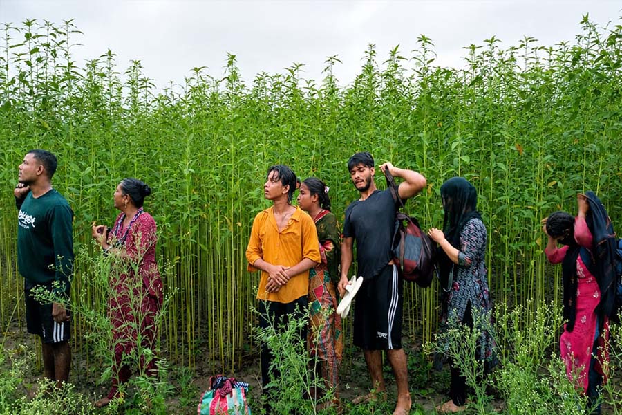 ছবি: সংগৃহিত