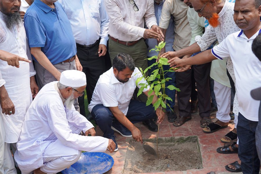 রাজশাহীতে এক বছরে আড়াই লাখ গাছ লাগানোর কর্মসূচি  শুরু